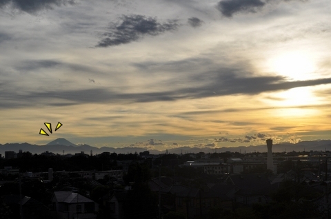 DSC_0613 (640x425).jpg