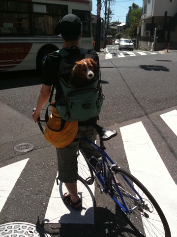 写真2 (480x640).jpg