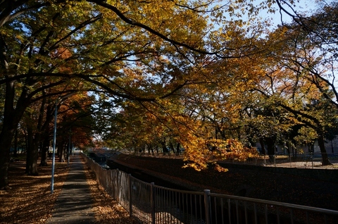 1カラフル4(640x425).jpg