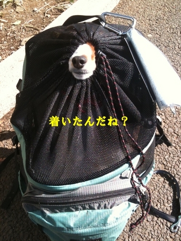 1到着したね? (480x640).jpg