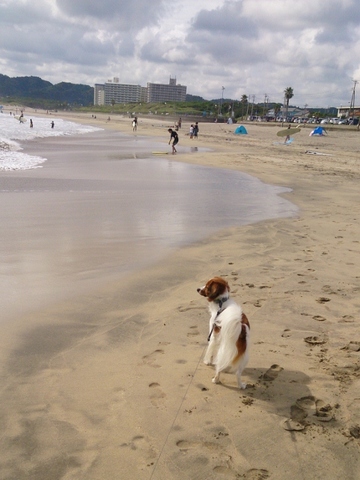 13海だねぇ (481x640).jpg