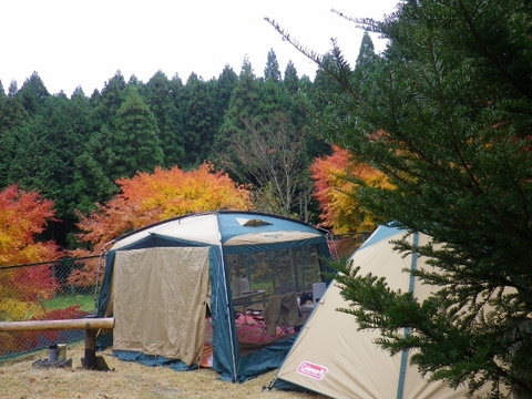 3 (640x480).jpg