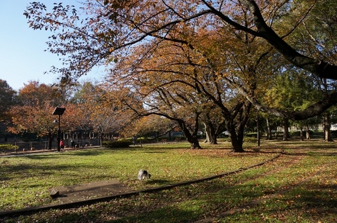 4(640x425).jpg