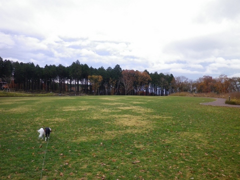 5 (640x480).jpg