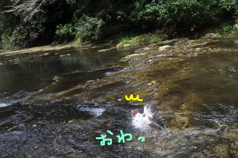 5ずんずん (640x425).jpg