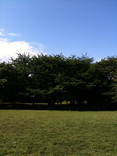 image-201005138234647.png