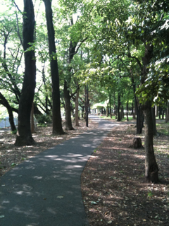 image-201005138234907.png