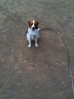 image-201005138235314.png