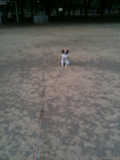 image-201005138235425.png
