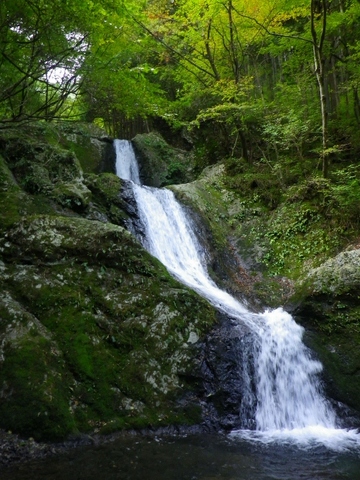 PQOcqm (480x640).jpg