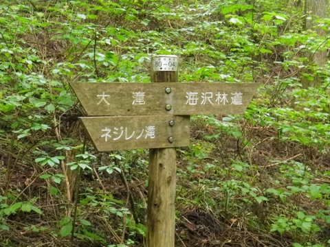 PR̈ē (640x480).jpg