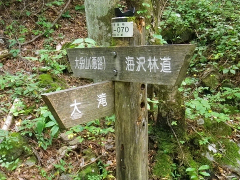 QÖē (640x480).jpg